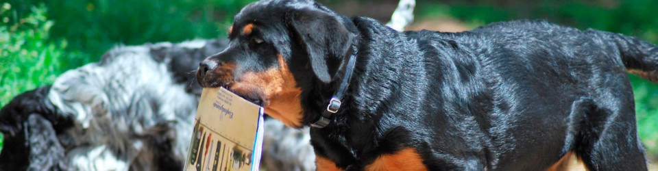 Pet passport