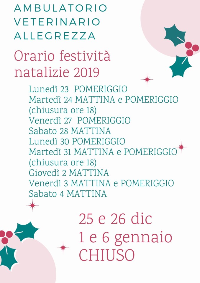 Orario festività natalizie 2019